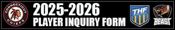 Player Inquiry Logo 2025